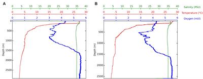 The Deep-Sea Microbial Community from the Amazonian Basin Associated with Oil Degradation